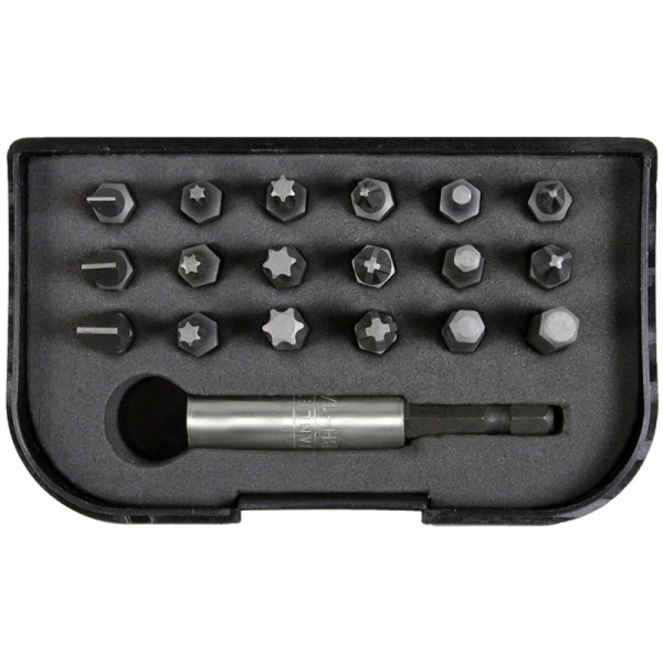 A set of inserts 1/4"x25mm with a magnetic holder EXPERT (1-13-901)